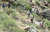 Descending near Tapeats