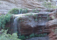 lower falls