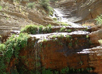 Lower Falls-sun