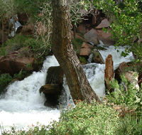 Tapeats Falls 